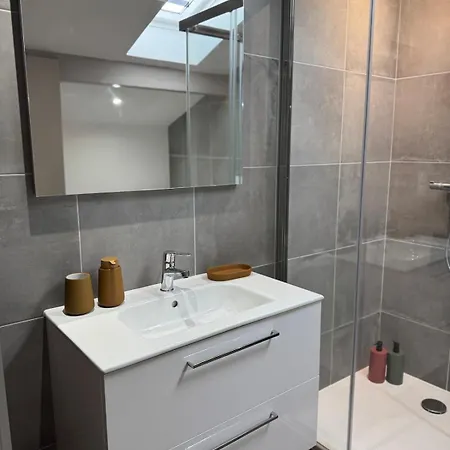 Longchamps 1 - Magnifique Appartement, 1 Sous Les Toits, Clim Aix-les-Bains